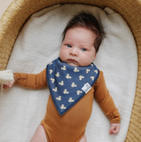 Mickey Mouse and Friends Bandana Bib Set