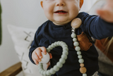 Chewable Charm Classic Pacifier Clip- Succulent