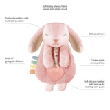 Itzy Ritzy Lovey Bunny Plush with Silicone Teether