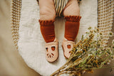 Sugar Almond Lace Top Knee Highs